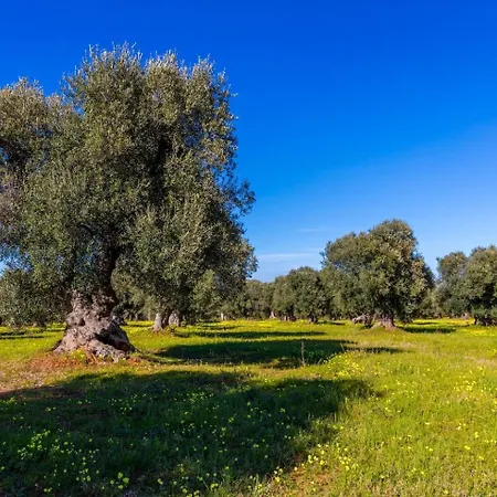 Сasa de vacaciones Casa Dante Ostuni